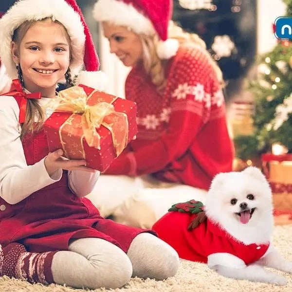 Roupa natalícia para cão / Casaco com capuz para cão