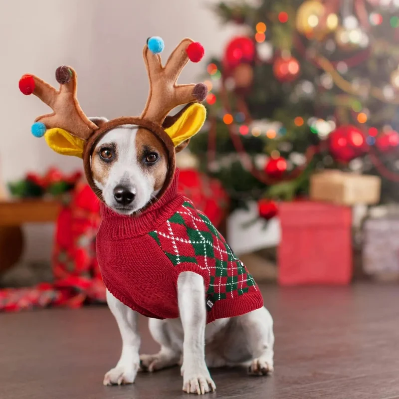 Camisolas de Natal para cães e gatinhos