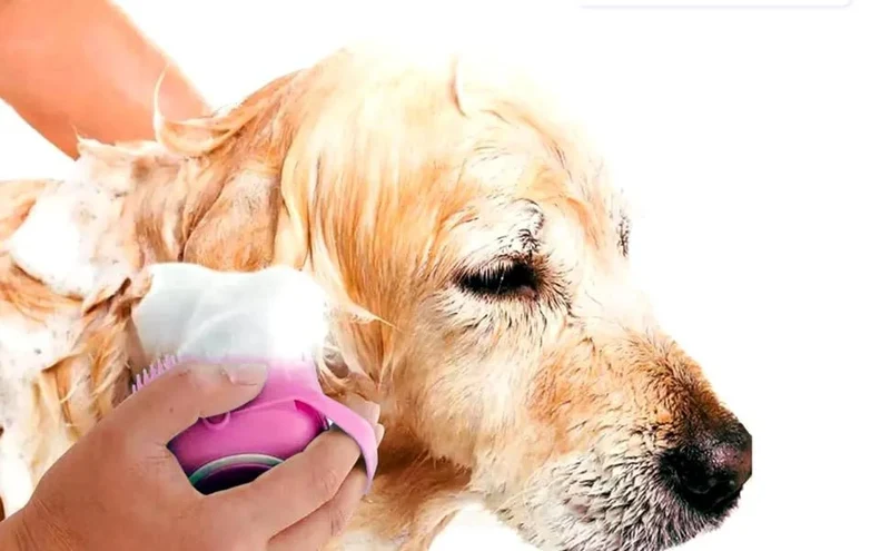 Escova de banho e massagem, para animais de estimação, com auto-dispensador de champô
