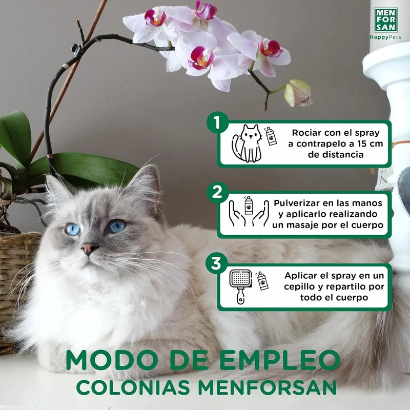 MENFORSAN Pack higiene e beleza para gatos menforsan, champô muito macio gatos 300 ml, colónia morango para gatos de 125 ml, champô em espuma para cães e gatos 200 ml, rico aroma a morangos
