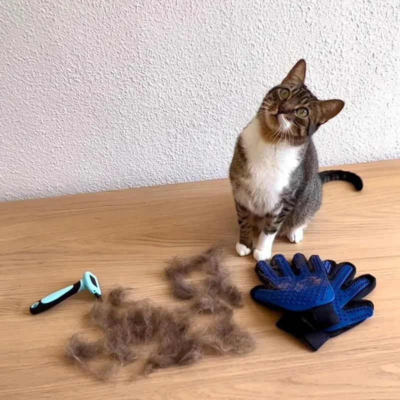 Kit de Escovagem e Higiene para o Pêlo de Cães e Gatos