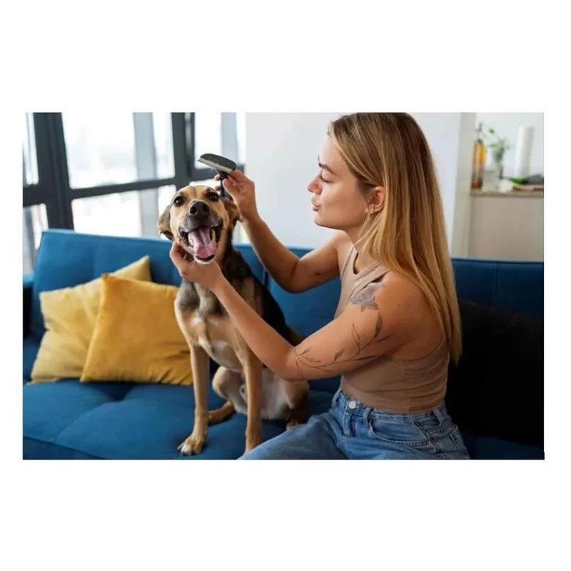 Kit de Escovagem e Higiene para o Pêlo de Cães e Gatos