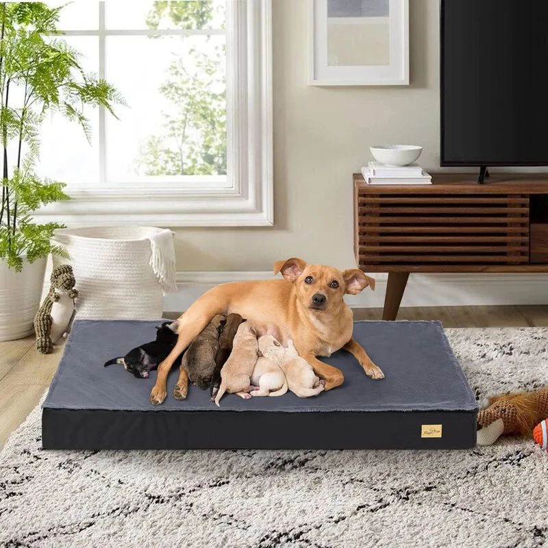 Cama ortopédica para Cães Grandes, Lavável, Cobertura impermeável, Cinzento