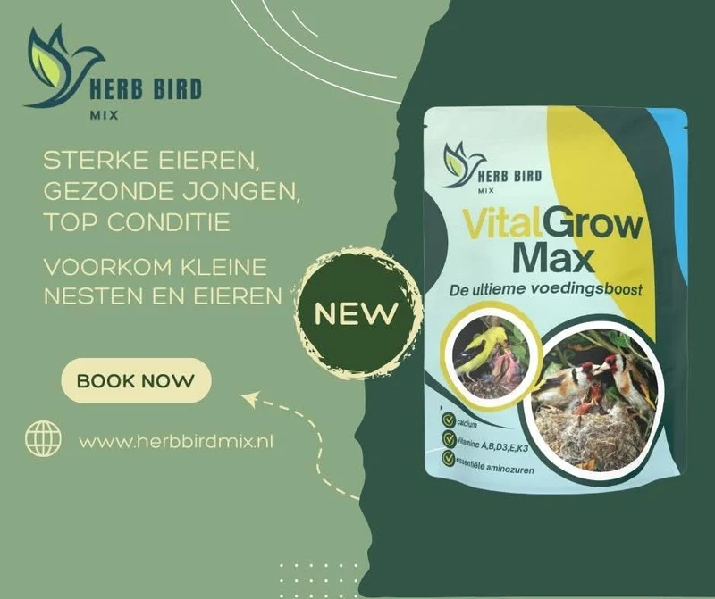 VitalGrow Max 500 g – Kalzium, Vitamine und essentielle Aminosäuren – Kräuter-Vogelfuttermischung