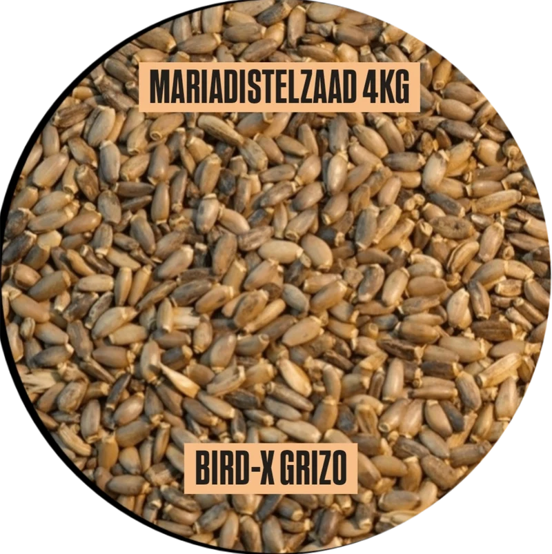 Mariendistelsamen 4kg - Bird X - Vorverpackt