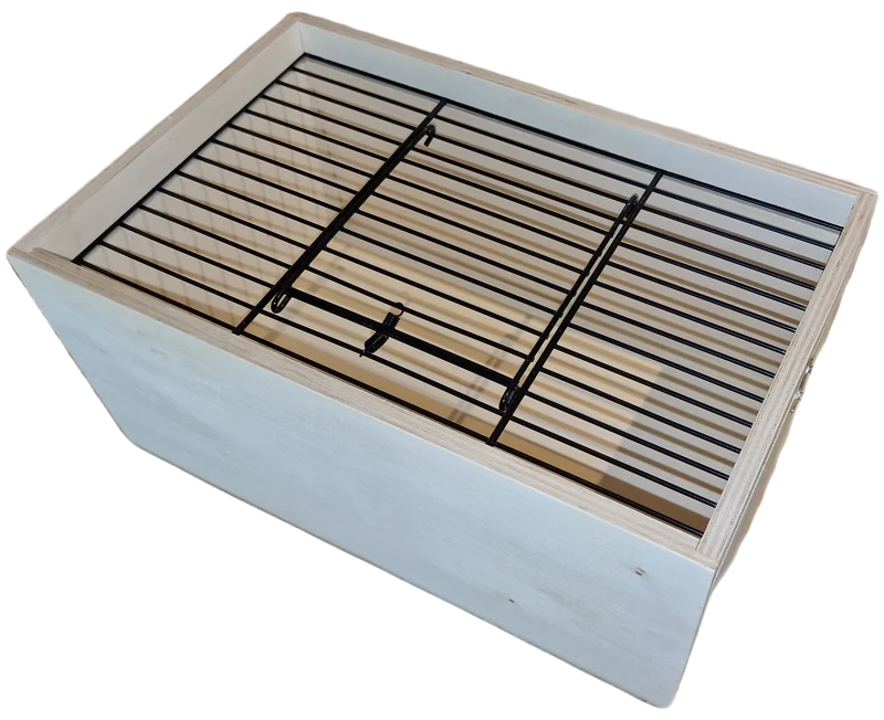 Transportbox Drei Fächer 59.5x29.5x16.5 OHNE DECKEL