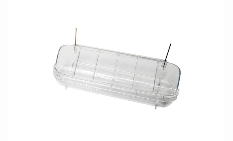 Venus "AIR" Pop Feeder STA