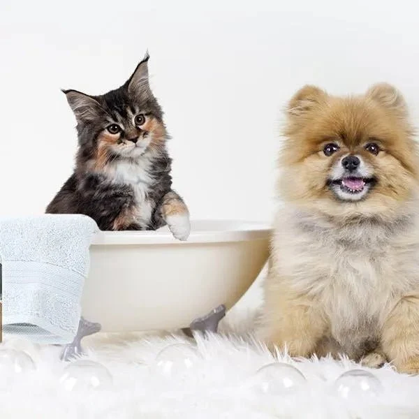 Condicionador para cães e gatos (500 ml) - Hidratante e Desembaraçante para peles sensíveis, suave para todos os tipos de pêlo e raças, hipoalergénico com óleo de côco e lavanda