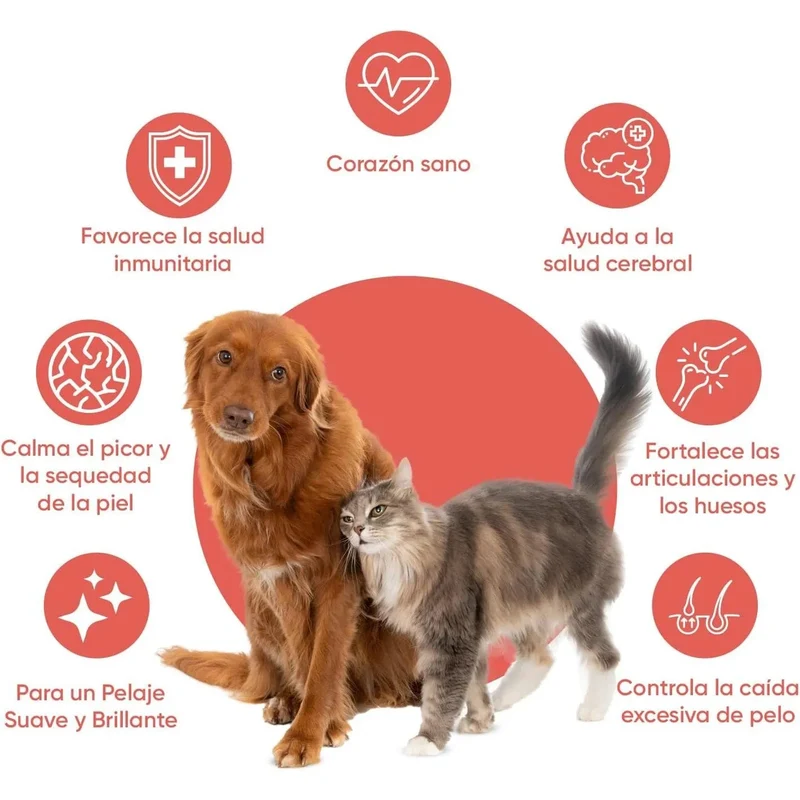 Óleo de salmão para cães e gatos (500 ml) - natural, salmão norueguês - suplemento Barf para cães e gatos com Omega 3, Omega 6 e Omega 9, pelo com mais brilho, pele saudável e hidratada, para articulações