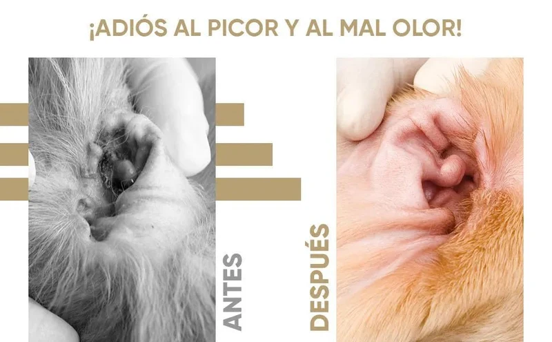 Limpador de ouvidos para cães e gatos (250 ml em gotas) - natural, com aloé vera e lavanda, sem álcool