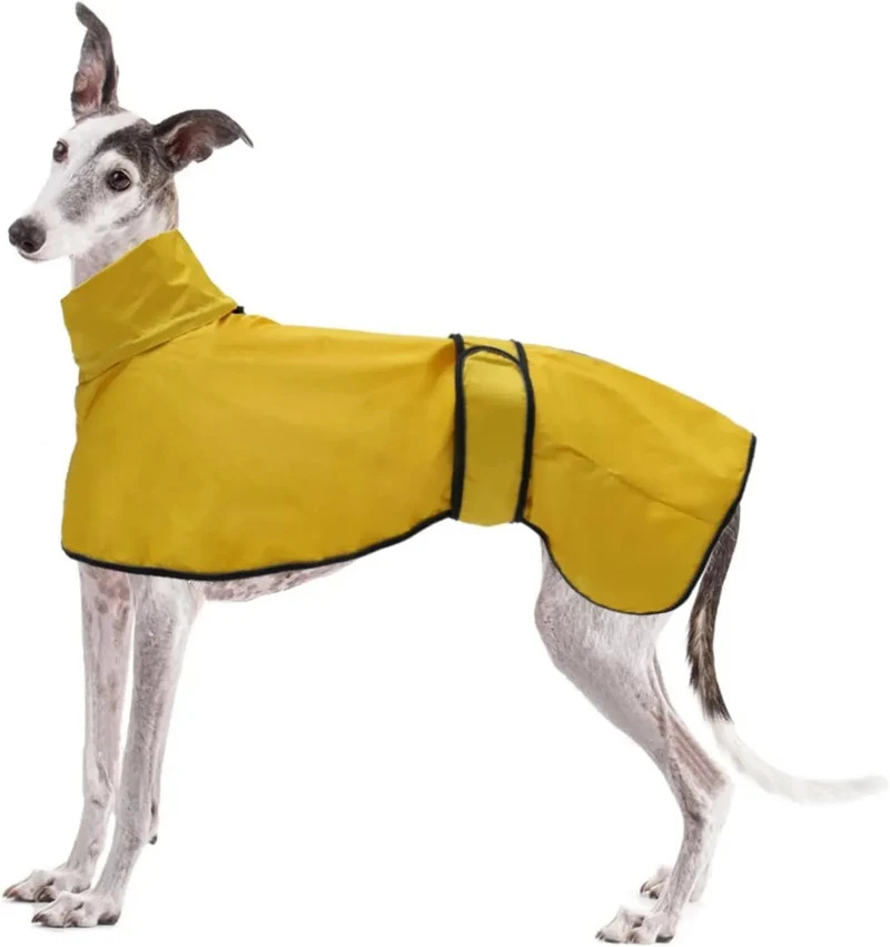 Capa de chuva leve para cães, com correias refletoras e orifício para arnês, ideal para Lurcher e Whippet