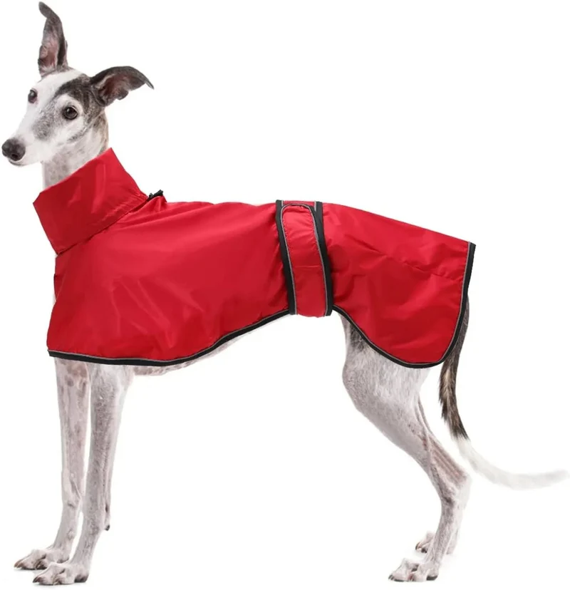 Capa de chuva leve para cães, com correias refletoras e orifício para arnês, ideal para Lurcher e Whippet