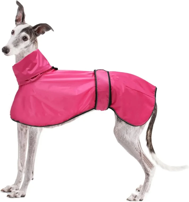 Capa de chuva leve para cães, com correias refletoras e orifício para arnês, ideal para Lurcher e Whippet