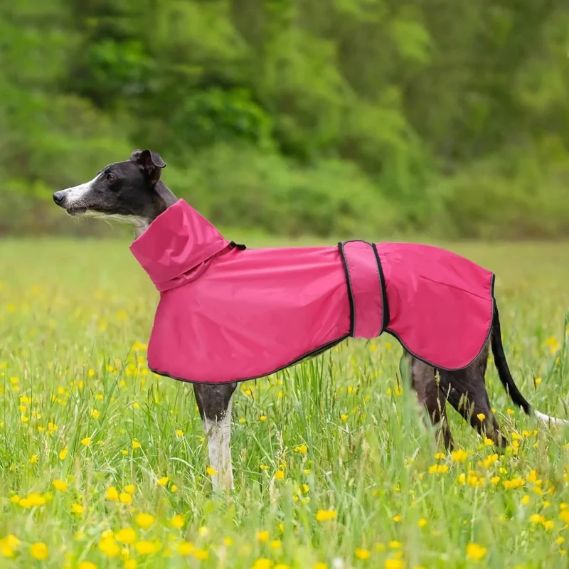 Capa de chuva leve para cães, com correias refletoras e orifício para arnês, ideal para Lurcher e Whippet