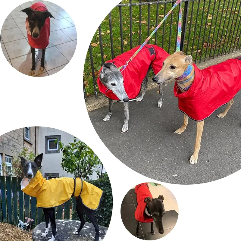Capa de chuva leve para cães, com correias refletoras e orifício para arnês, ideal para Lurcher e Whippet