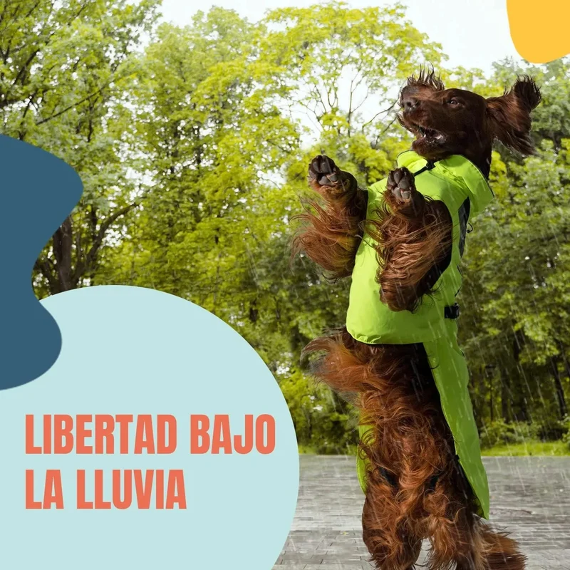 Capa / Blusão de chuva refletora e impermeável para cães, com abertura para arnês, para cães pequenos, médios e grandes