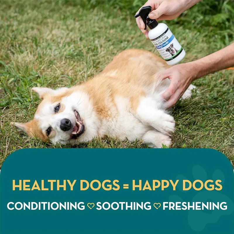 Colónia para cães em spray completamente natural / perfume em spray para cães | Aroma a Talco para bebés | Desodorizante, Desembaraçador e Condicionador de pelo em spray para cães, 250 ml