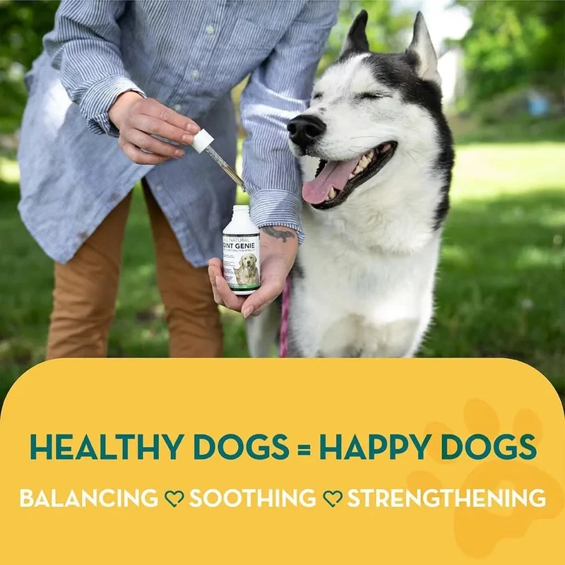 Suplementos para Articulações de cães e gatos - 100 Porções - Suplemento Natural Líquidos para articulação canina de ação rápida para cães idosos