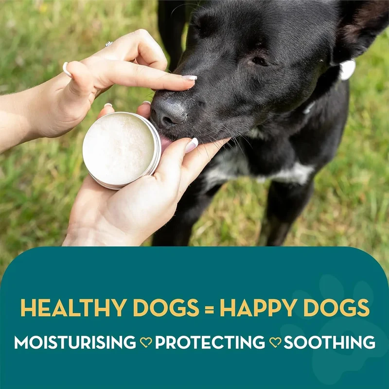Creme Calmante natural para patas, nariz e pele de cães e gatos, creme hidratante para reparar a pele seca e rachada, para a pele e as almofadas dos animais de estimação