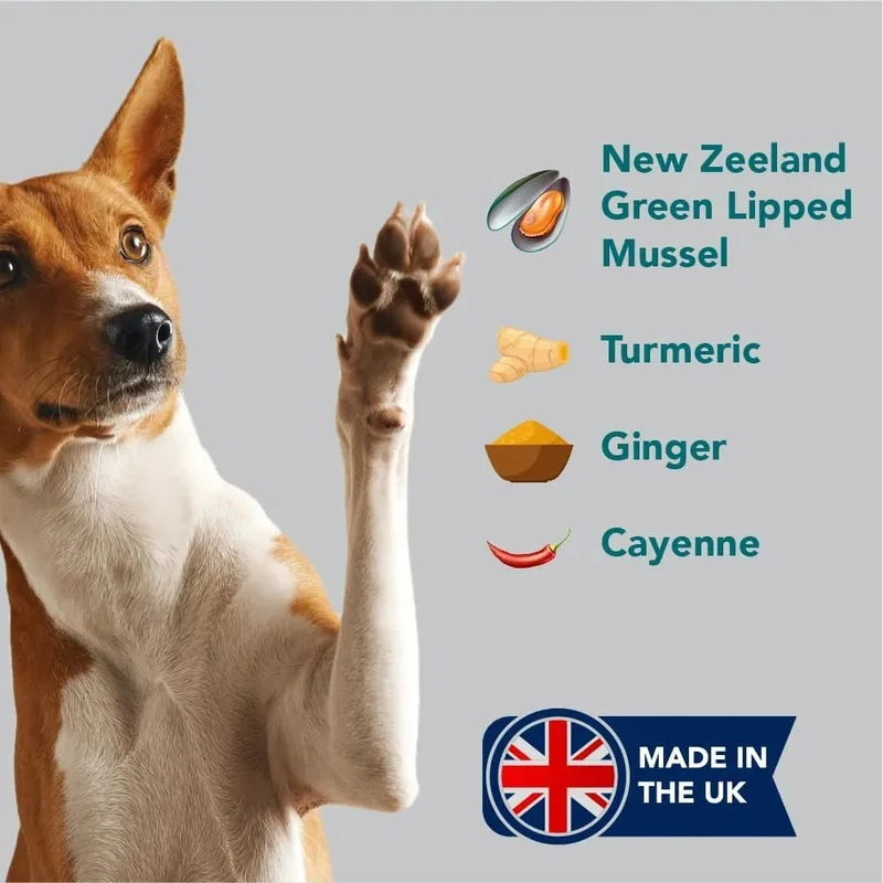 Happy Joint 100% Cuidado natural para cães e gatos - com açafrão e mexilhão de lábios verdes - melhor que os suplementos para articulações com glucosamina (160 Doses)