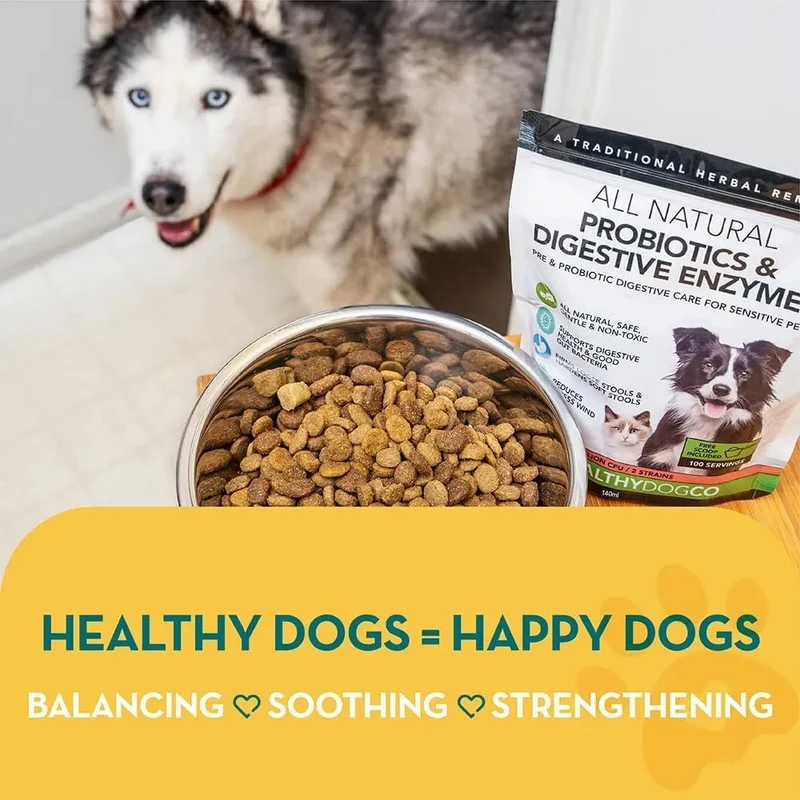 Probióticos, prebióticos e enzimas digestivas para cães | 100% natural 140 gramas para acalmar o estômago - melhora a digestão e a imunidade