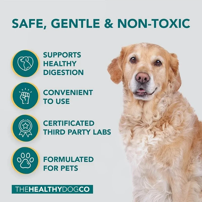 Probióticos, prebióticos e enzimas digestivas para cães | 100% natural 140 gramas para acalmar o estômago - melhora a digestão e a imunidade
