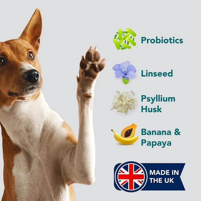 Probióticos, prebióticos e enzimas digestivas para cães | 100% natural 140 gramas para acalmar o estômago - melhora a digestão e a imunidade