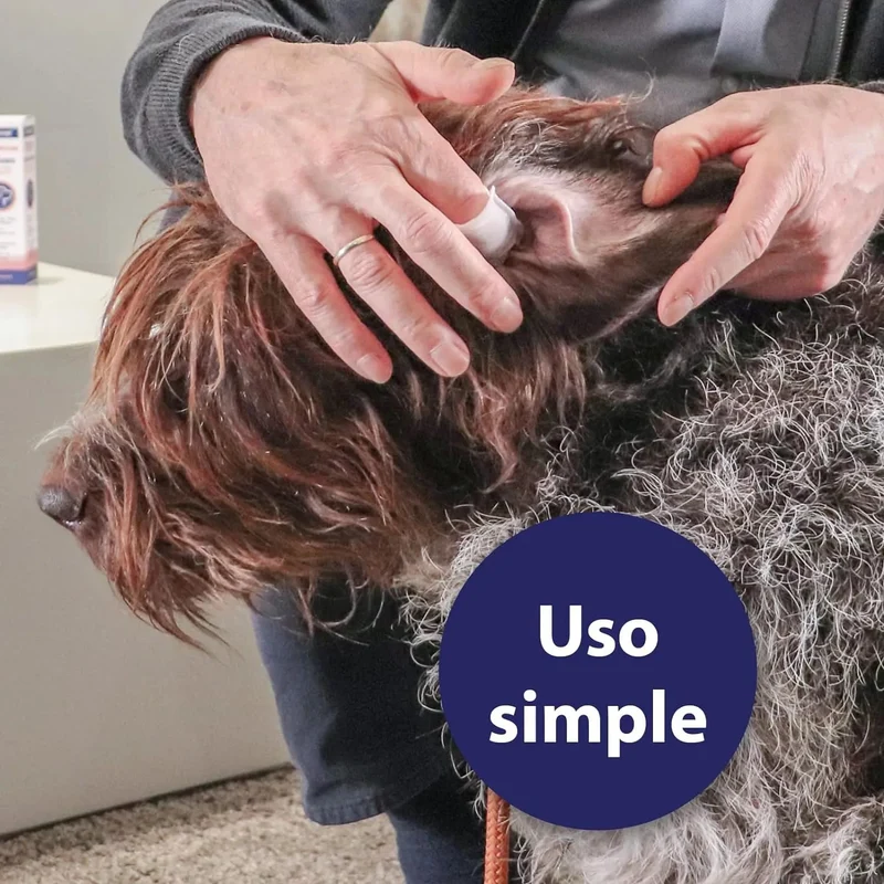 Toalhetes / Dedeiras para limpeza das orelhas dos cães - caixas de dedos para uma limpeza prática e fácil - cuidado e higiene das orelhas dos cães