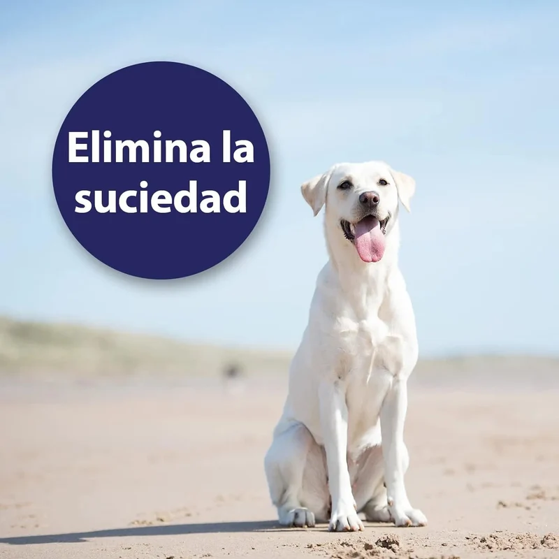 Toalhetes / Dedeiras para limpeza das orelhas dos cães - caixas de dedos para uma limpeza prática e fácil - cuidado e higiene das orelhas dos cães