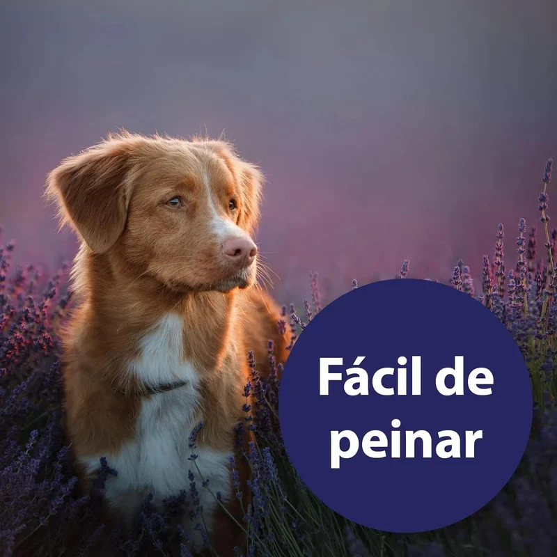 Spray para cuidados com o pelo de cães 250 ml, desembaraçante pelo cães, cuidado com a pele do cão, spray desembaraçador de pêlo para cães