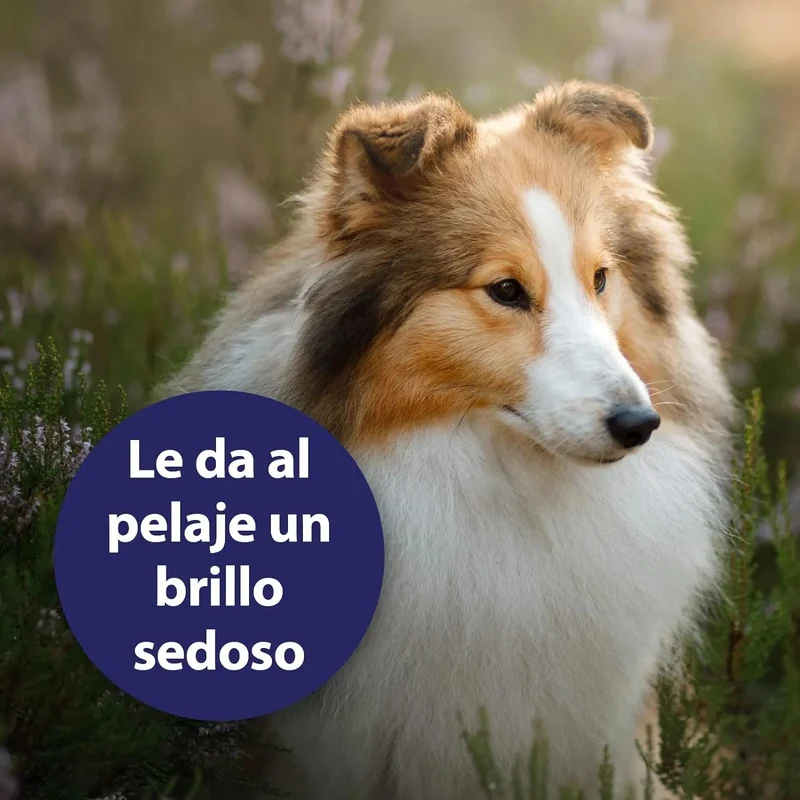 Spray para cuidados com o pelo de cães 250 ml, desembaraçante pelo cães, cuidado com a pele do cão, spray desembaraçador de pêlo para cães