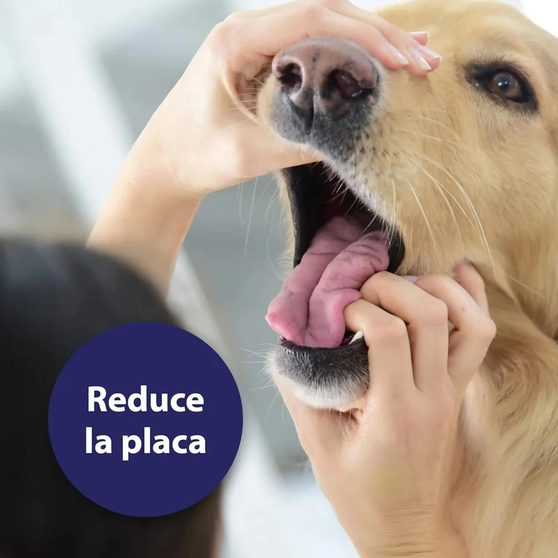 Toalhetes de limpeza de dentes para cães - caixas de dedos para uma limpeza prática e eficaz, cuidado dentário, higiene bucal - ajuda contra o mau hálito