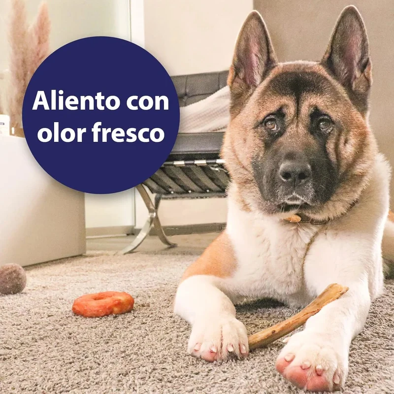 Toalhetes de limpeza de dentes para cães - caixas de dedos para uma limpeza prática e eficaz, cuidado dentário, higiene bucal - ajuda contra o mau hálito