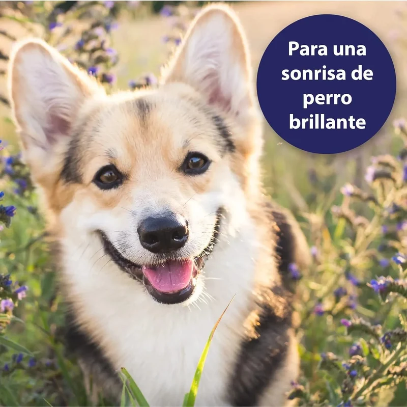 Toalhetes de limpeza de dentes para cães - caixas de dedos para uma limpeza prática e eficaz, cuidado dentário, higiene bucal - ajuda contra o mau hálito