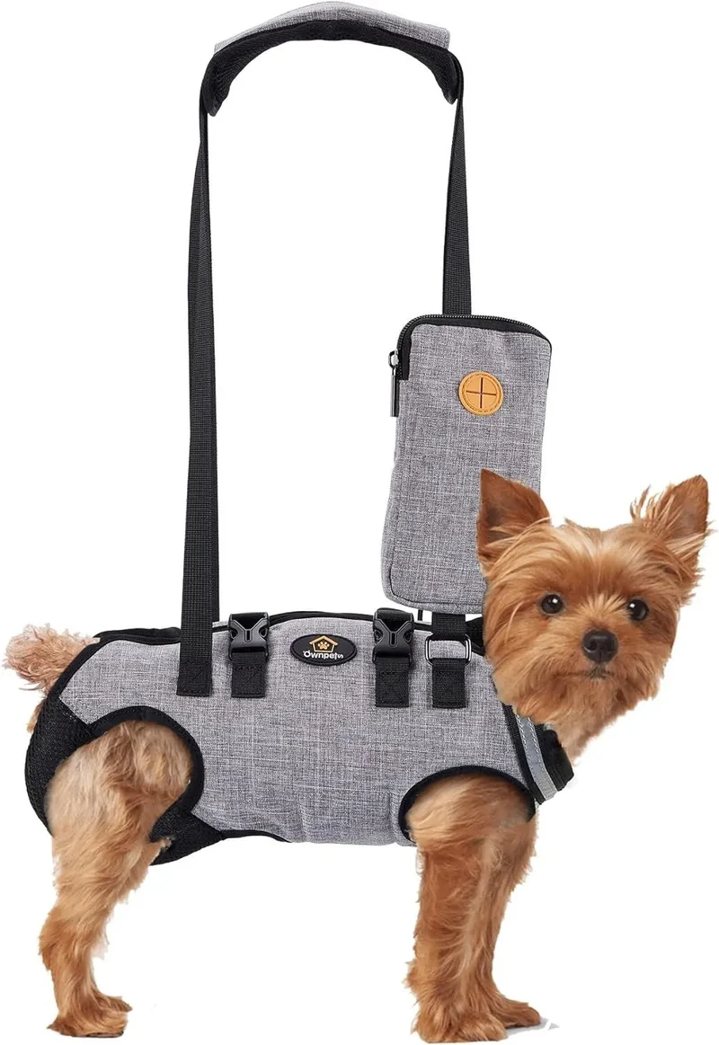 Arnês de elevação para cães, arnês de corpo inteiro cão, arnês de apoio para cães, macio, impermeável, ajustável, refletor, respirável, cinzento