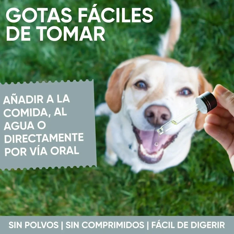 Antiparasitário interno para cães e gatos - 120 ml - solução líquida para desparasitação interna