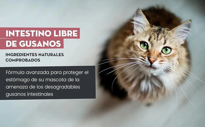 Antiparasitário interno para cães e gatos - 120 ml - solução líquida para desparasitação interna