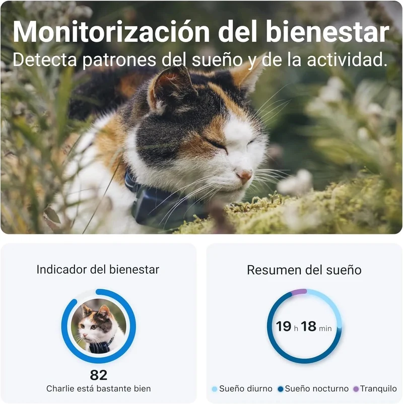Coleira GPS para Gatos, atualizações de localização 24 horas por dia, 7 dias por semana e análise do território, alerta anti-fuga, distância ilimitada - Tractive CAT Mini