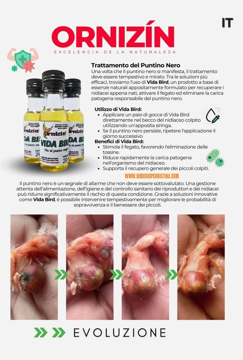 Vida Bird 20 ml – Anti Black Dot – Ornizin