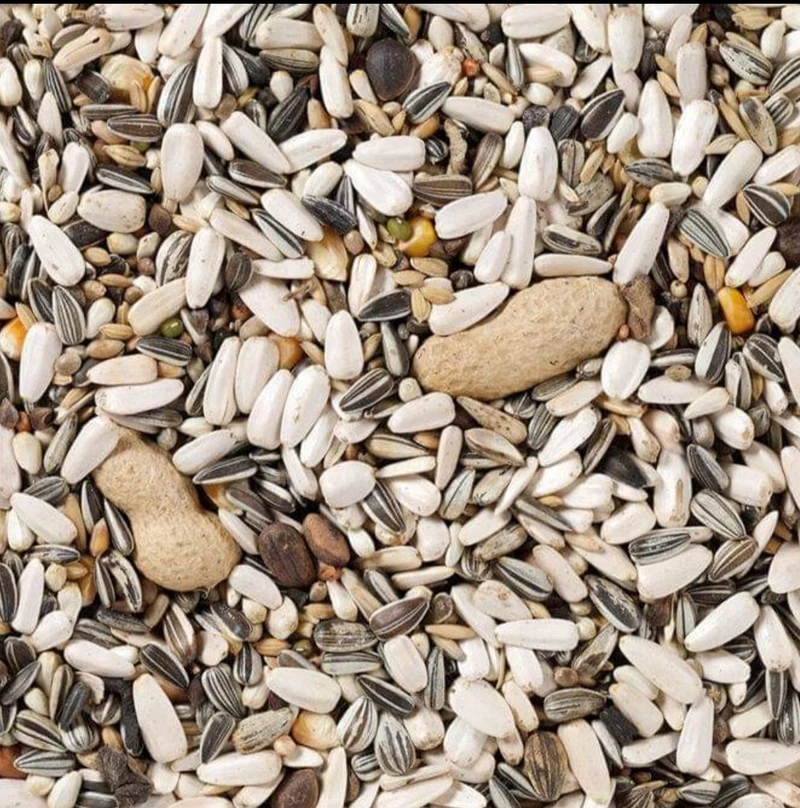 Deli Nature 60 Papagei Basic 1kg