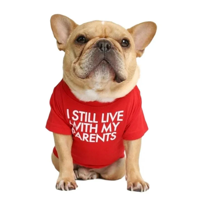 T-shirt para Cães