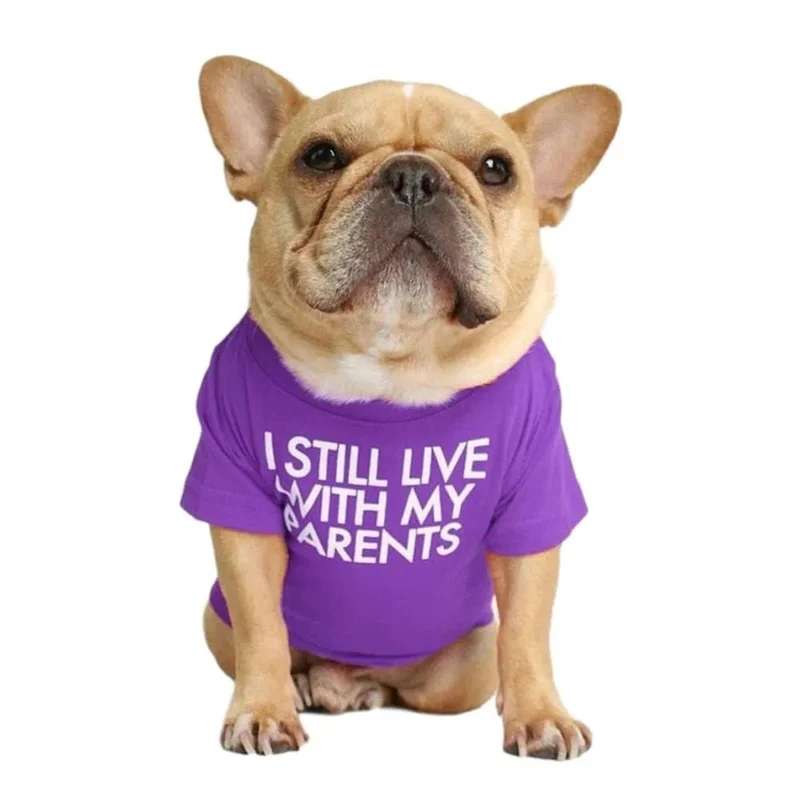 T-shirt para Cães