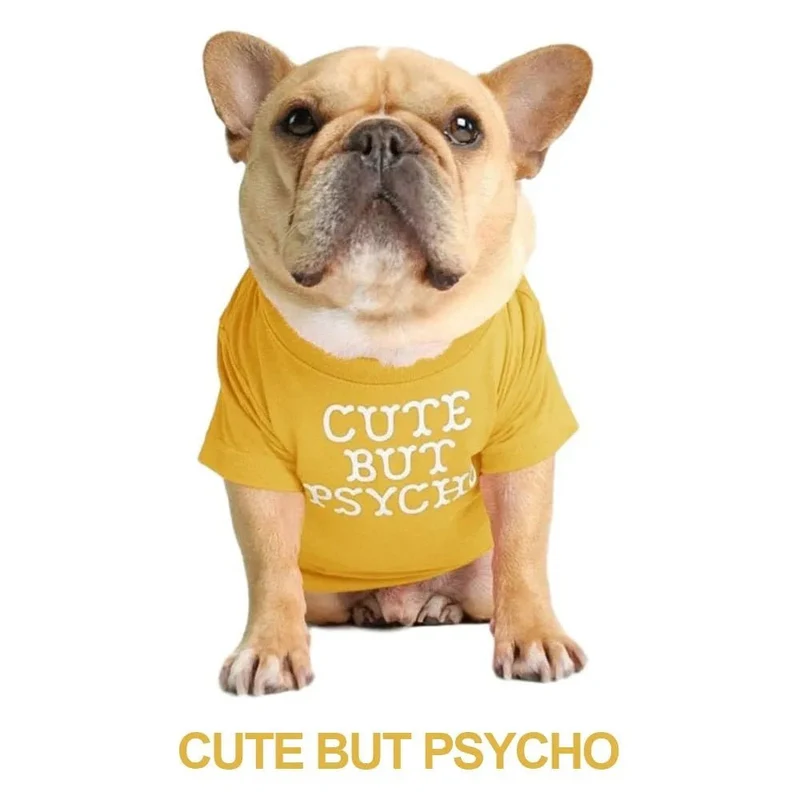T-shirt para Cães