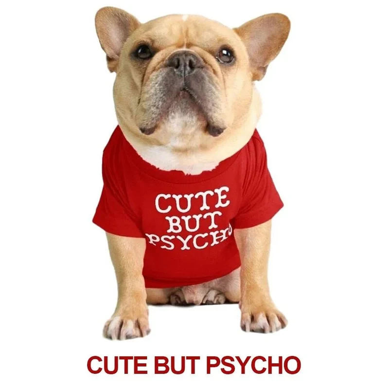 T-shirt para Cães