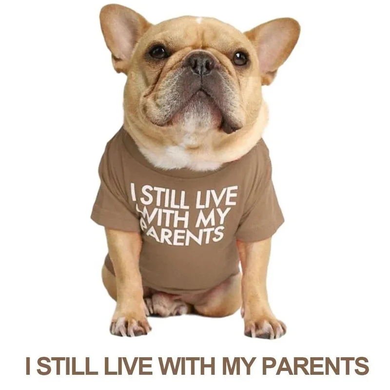 T-shirt para Cães