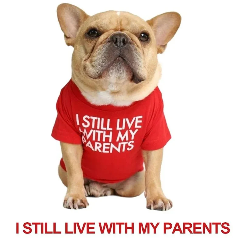 T-shirt para Cães