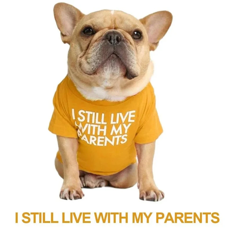 T-shirt para Cães