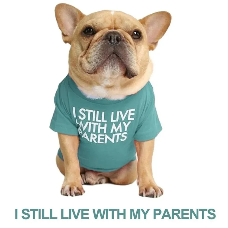 T-shirt para Cães