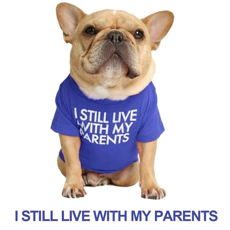 T-shirt para Cães