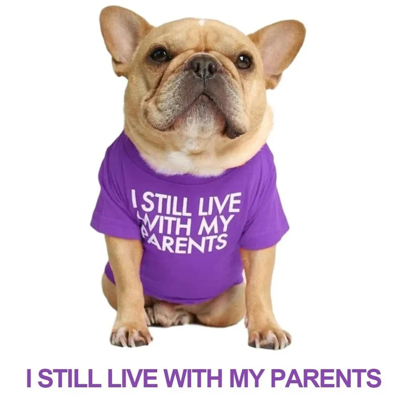 T-shirt para Cães